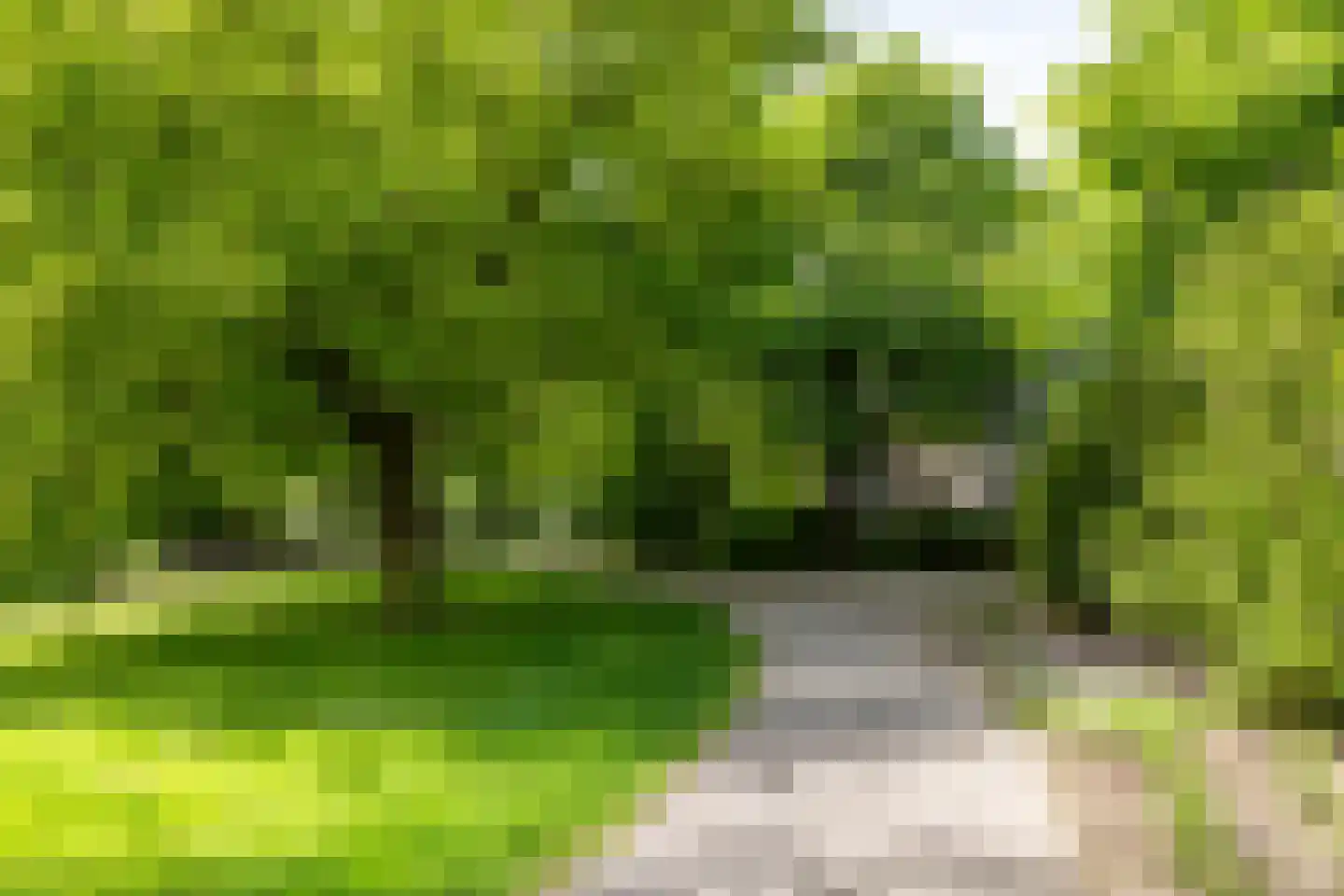 H.B.S.Laan 10 Oud-Beijerland thumbnail 58