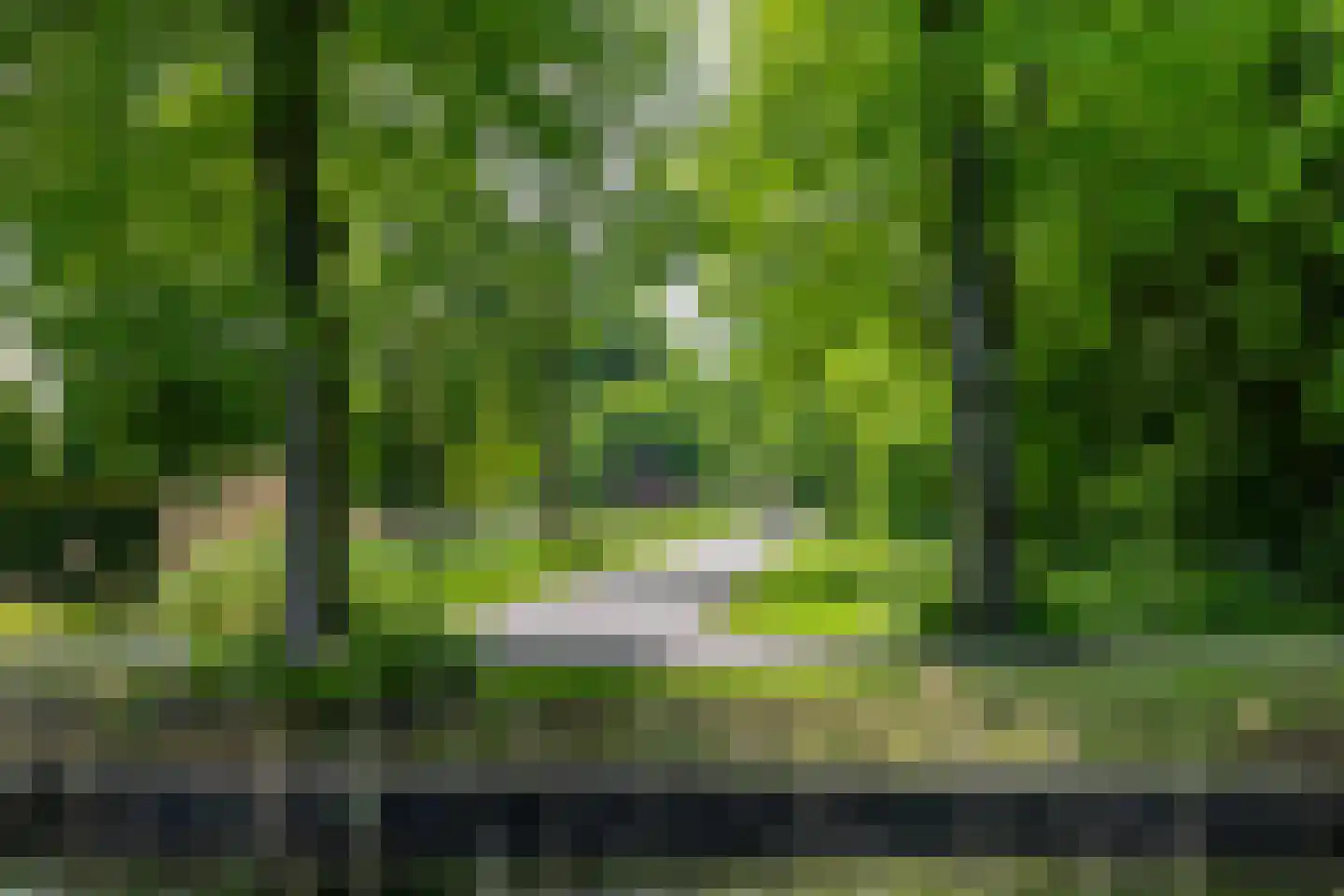 H.B.S.Laan 10 Oud-Beijerland thumbnail 59