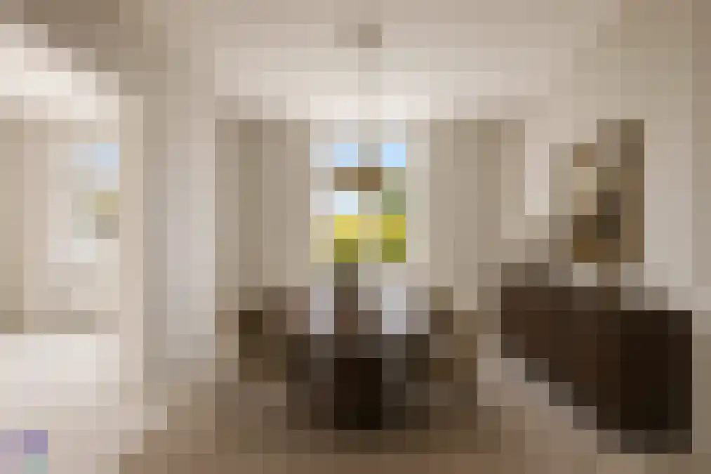 H.B.S.Laan 16 Oud-Beijerland thumbnail 16