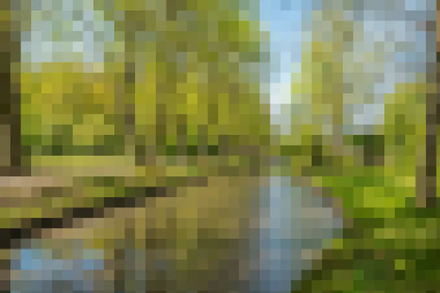 H.B.S.Laan 16 Oud-Beijerland thumbnail 51