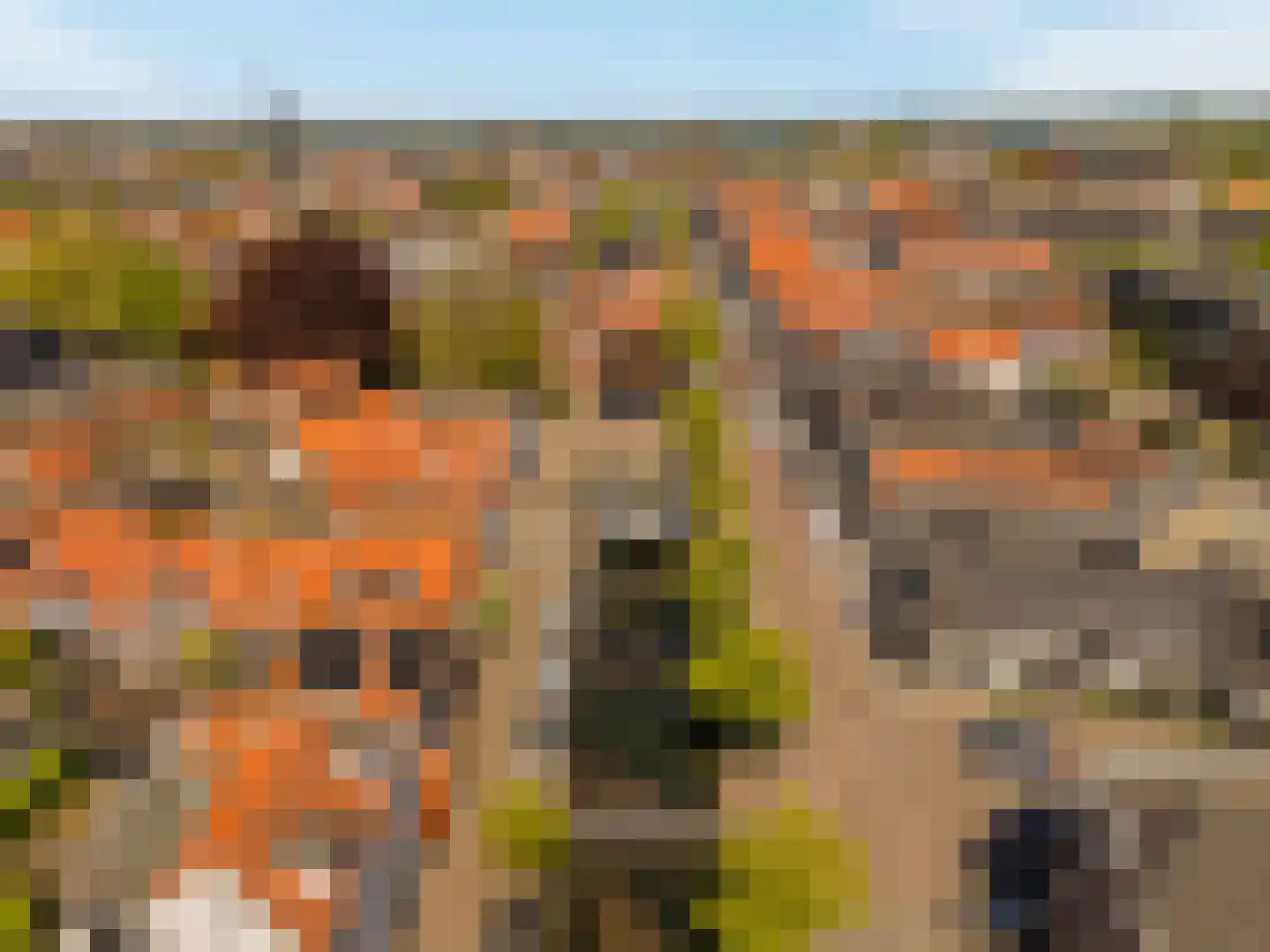 H.B.S.Laan 16 Oud-Beijerland thumbnail 54