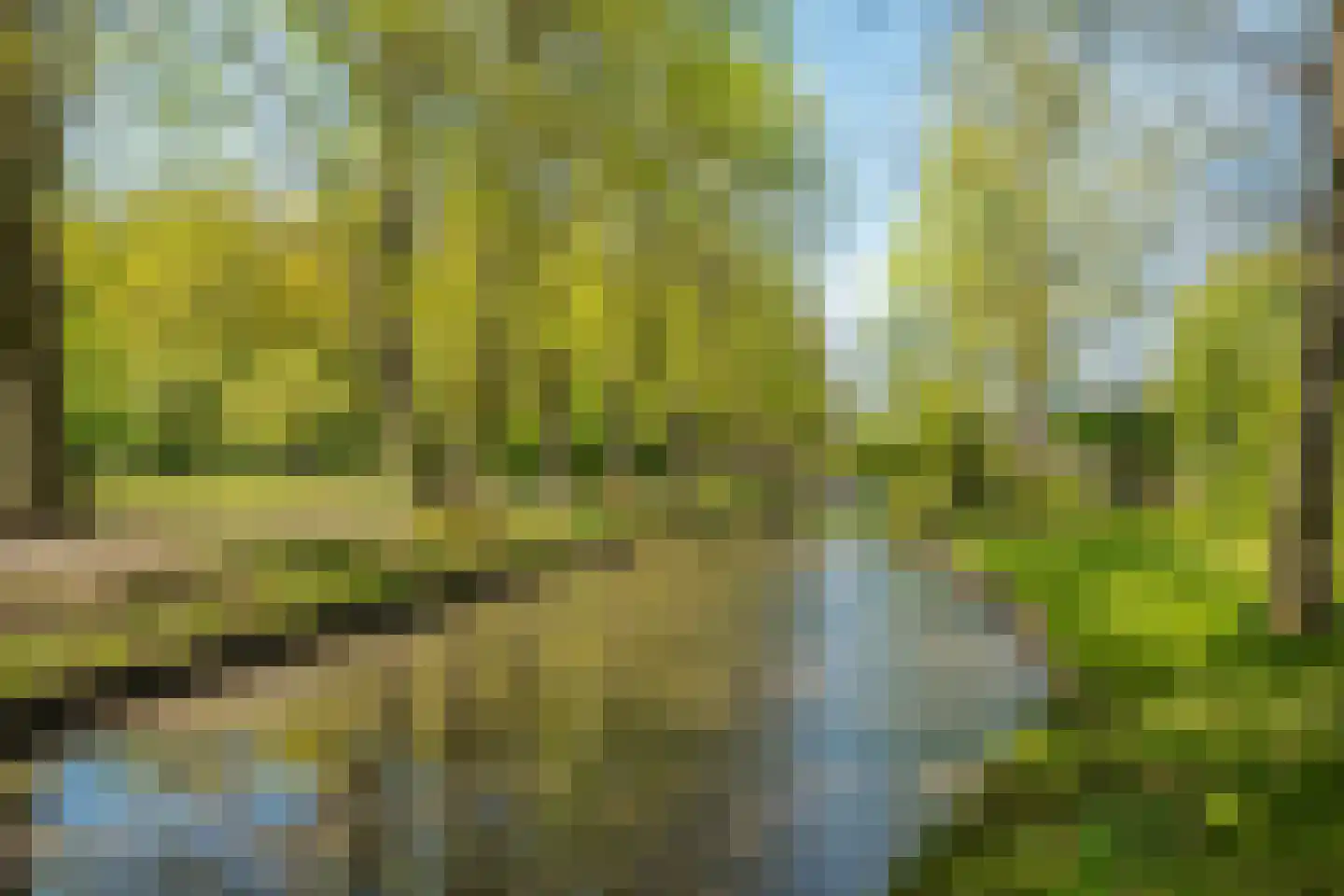 H.B.S.Laan 16 Oud-Beijerland thumbnail 62