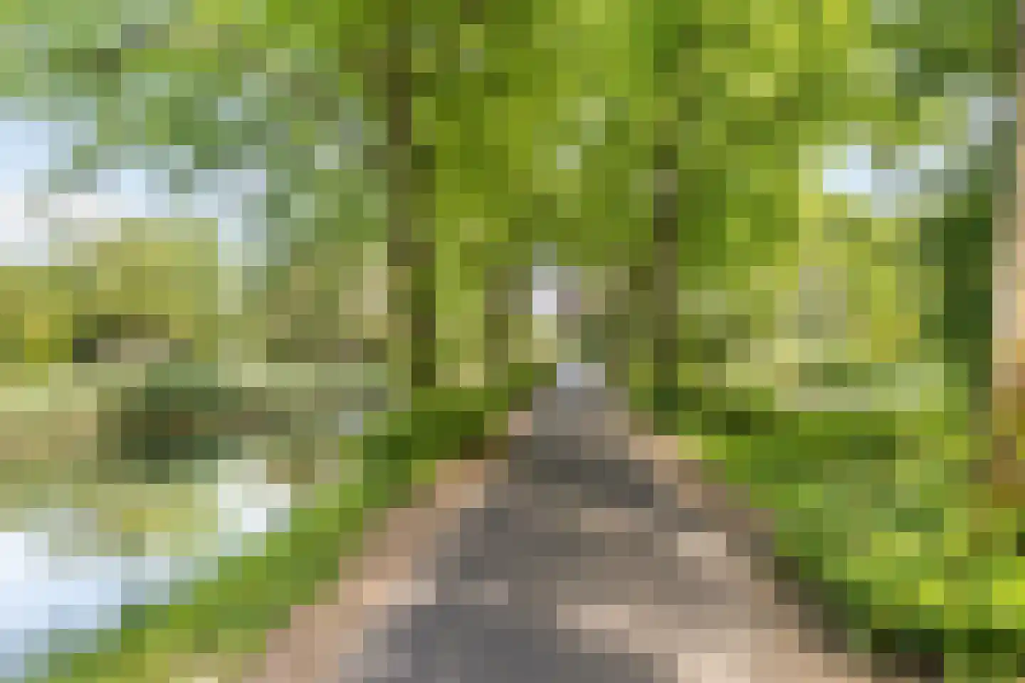 H.B.S.Laan 18 Oud-Beijerland thumbnail 37