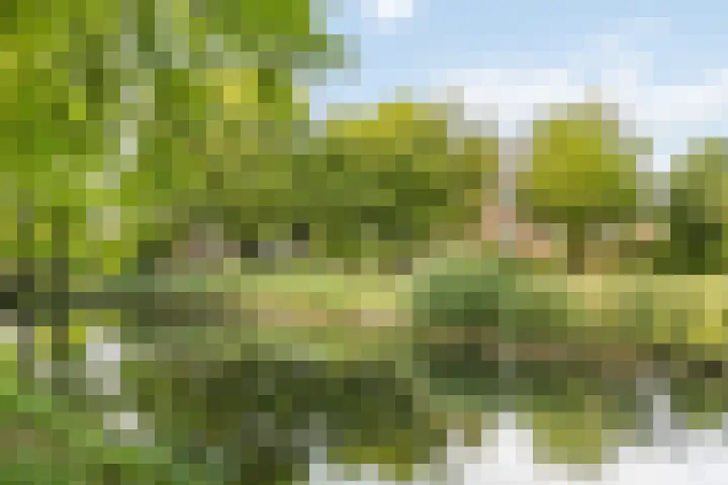 H.B.S.Laan 18 Oud-Beijerland thumbnail 38