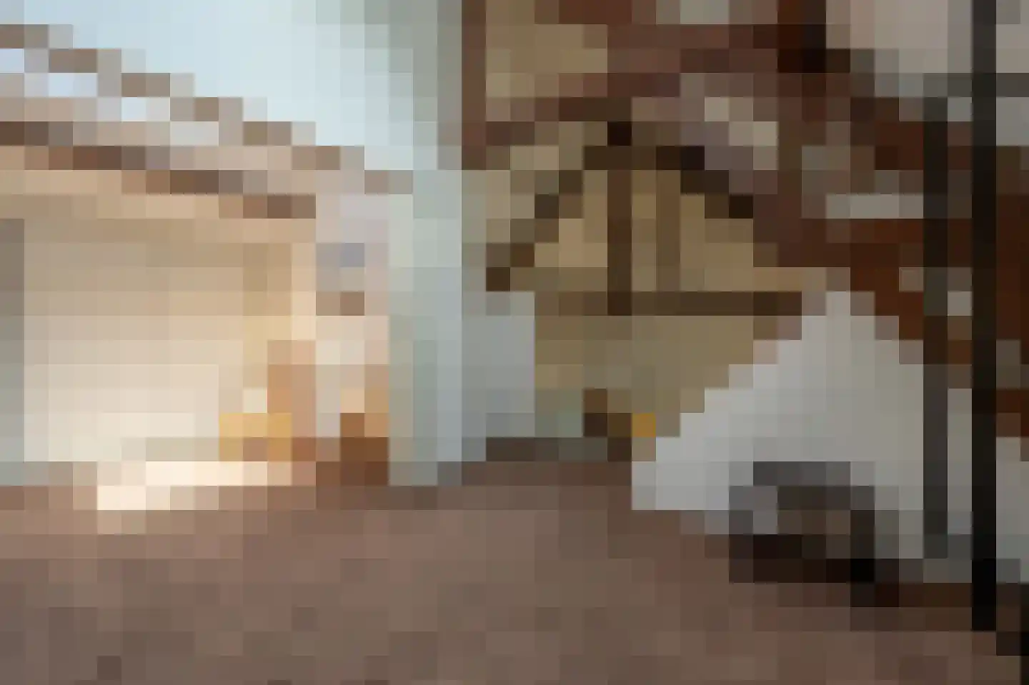 H.B.S.Laan 26 Oud-Beijerland thumbnail 30