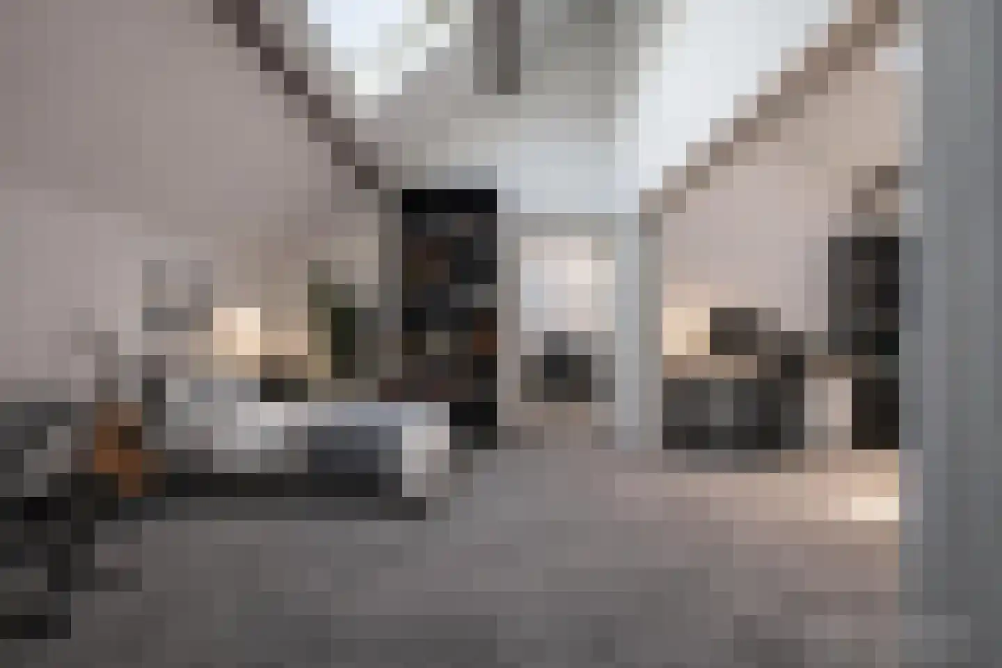 H.B.S.Laan 26 Oud-Beijerland thumbnail 31