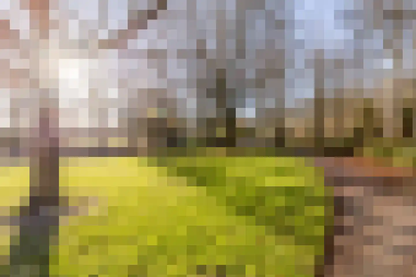 H.B.S.Laan 26 Oud-Beijerland thumbnail 34