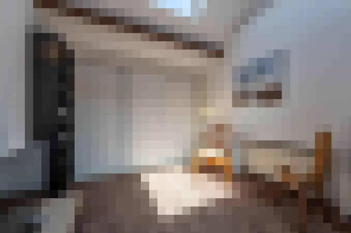 H.B.S.Laan 26 Oud-Beijerland thumbnail 36