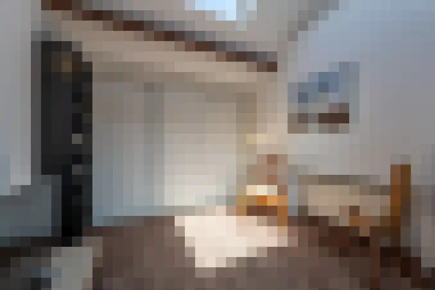 H.B.S.Laan 26 Oud-Beijerland thumbnail 38