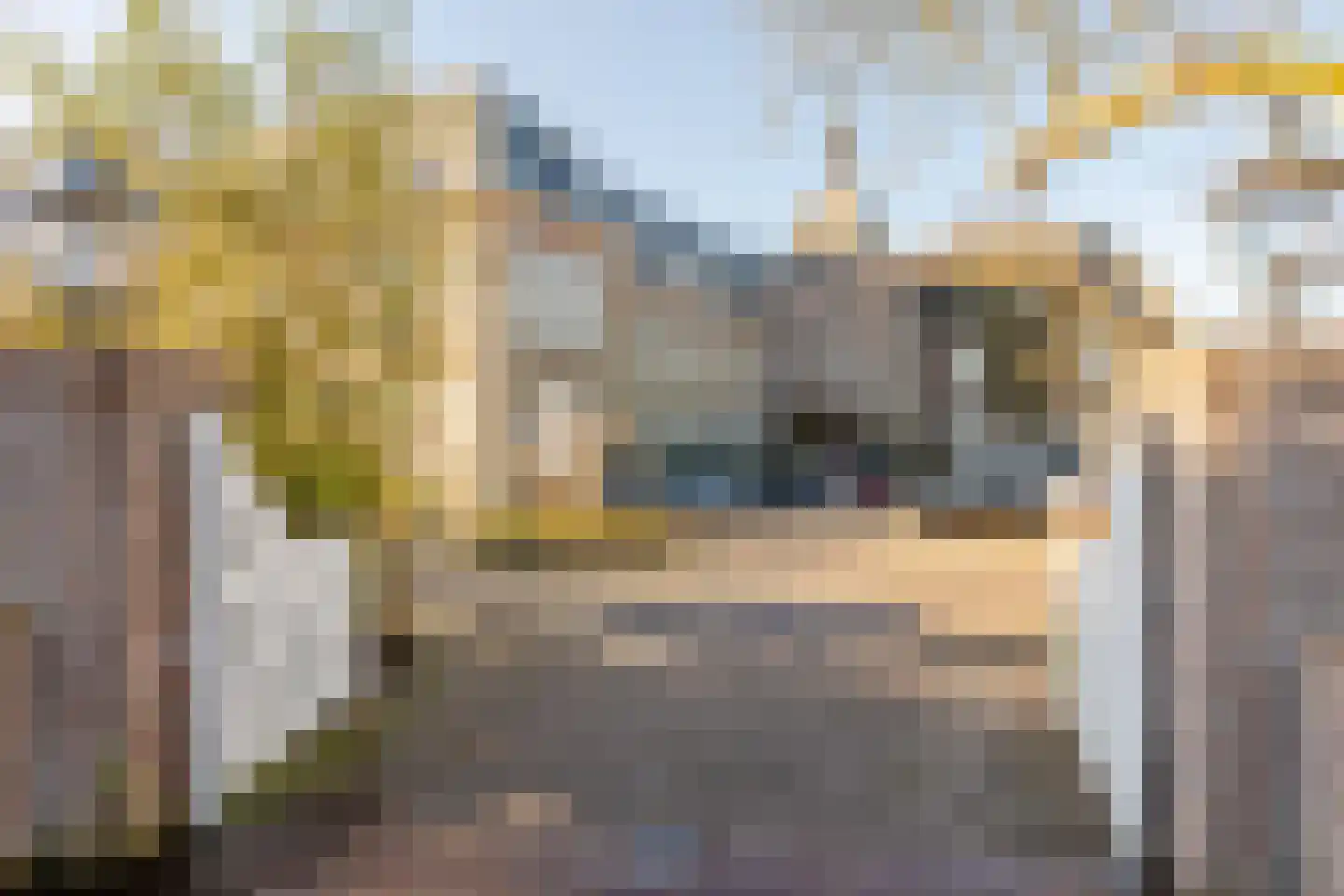 H.B.S.Laan 26 Oud-Beijerland thumbnail 4