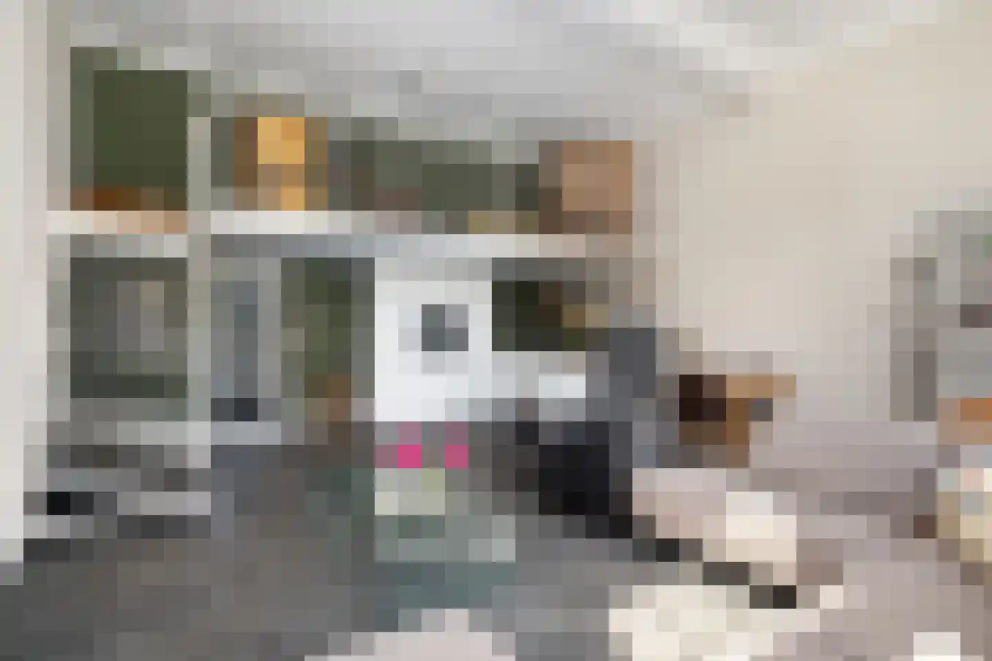 H.B.S.Laan 36 Oud-Beijerland thumbnail 18