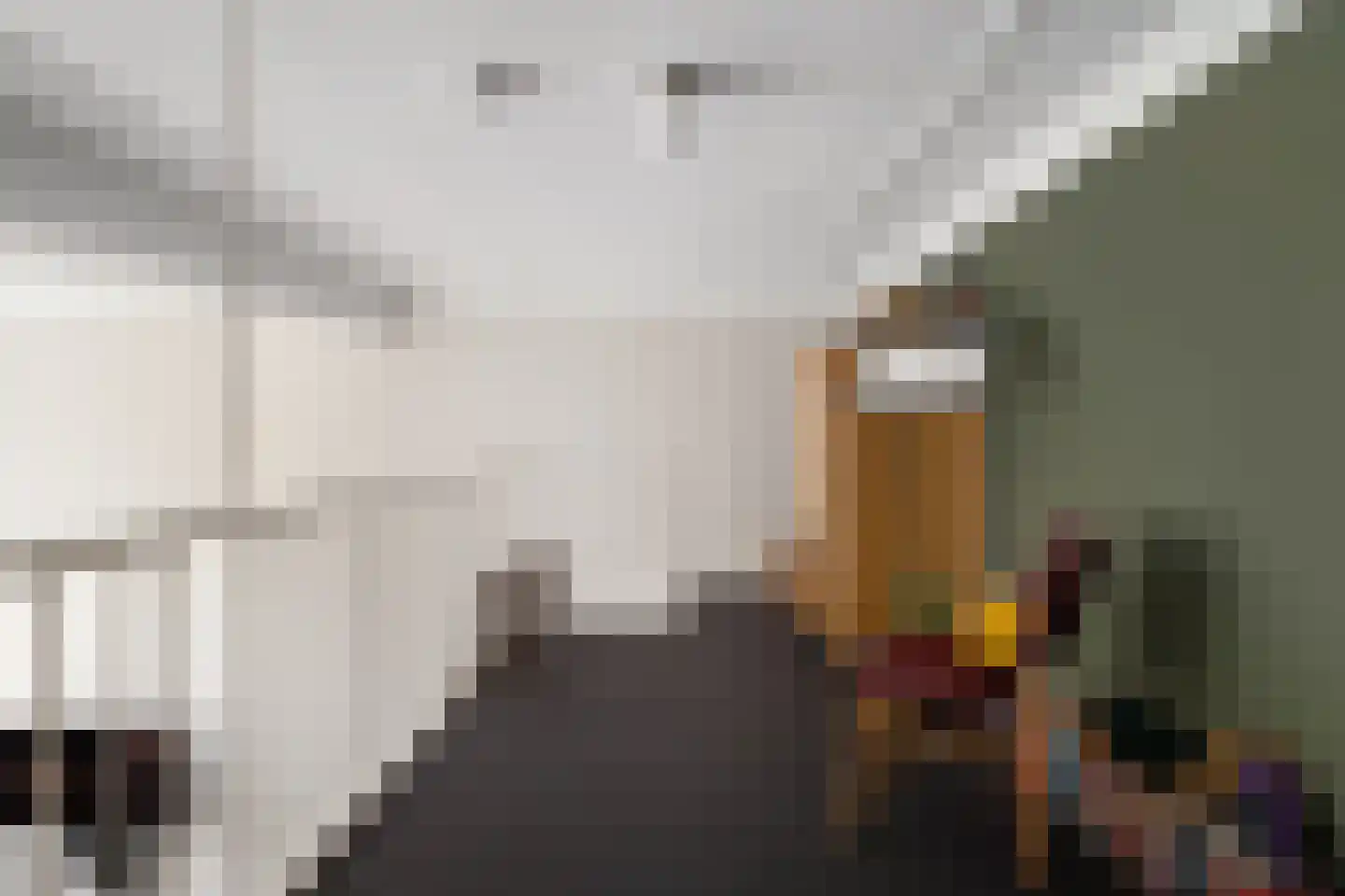 H.B.S.Laan 36 Oud-Beijerland thumbnail 20
