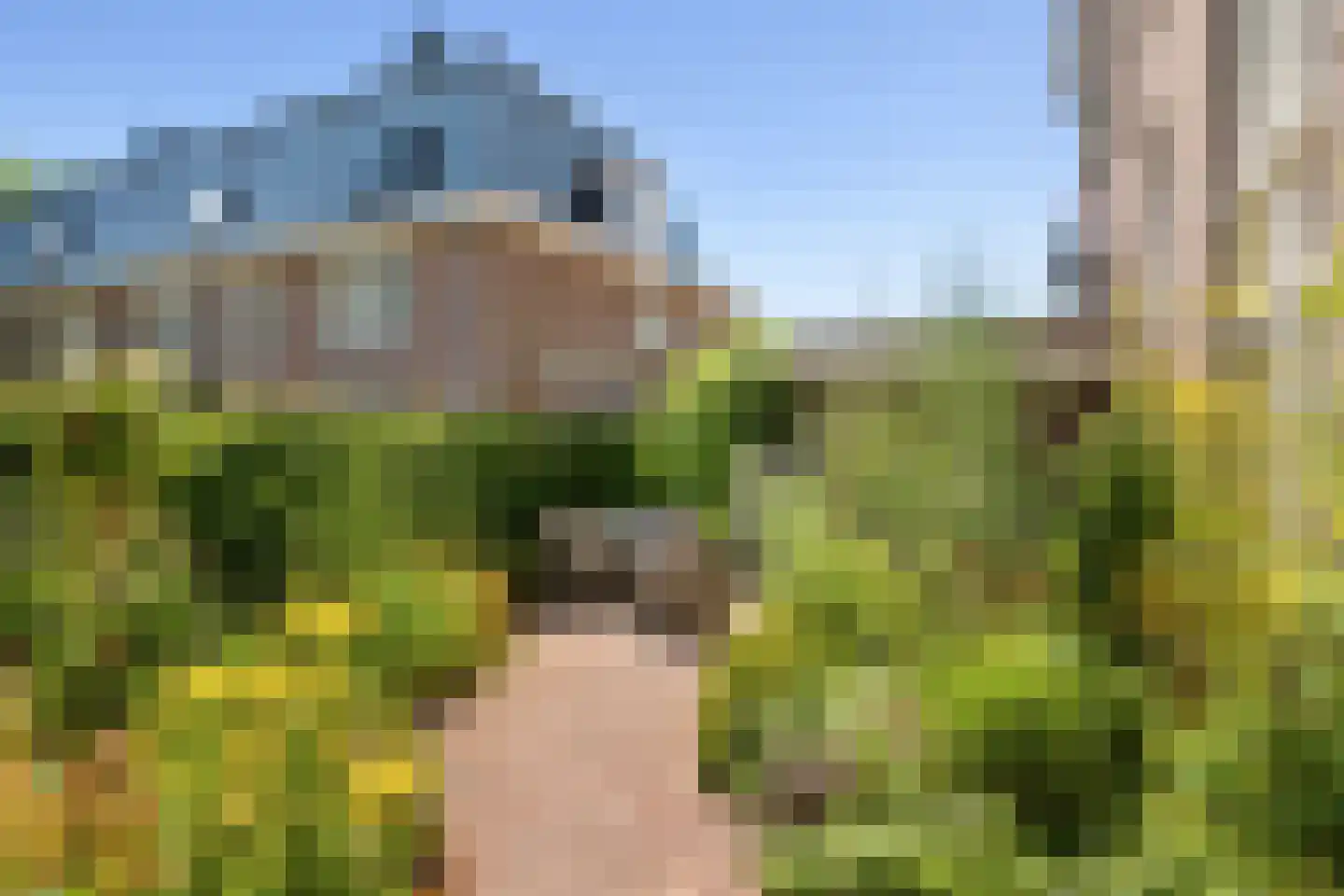 H.B.S.Laan 36 Oud-Beijerland thumbnail 37