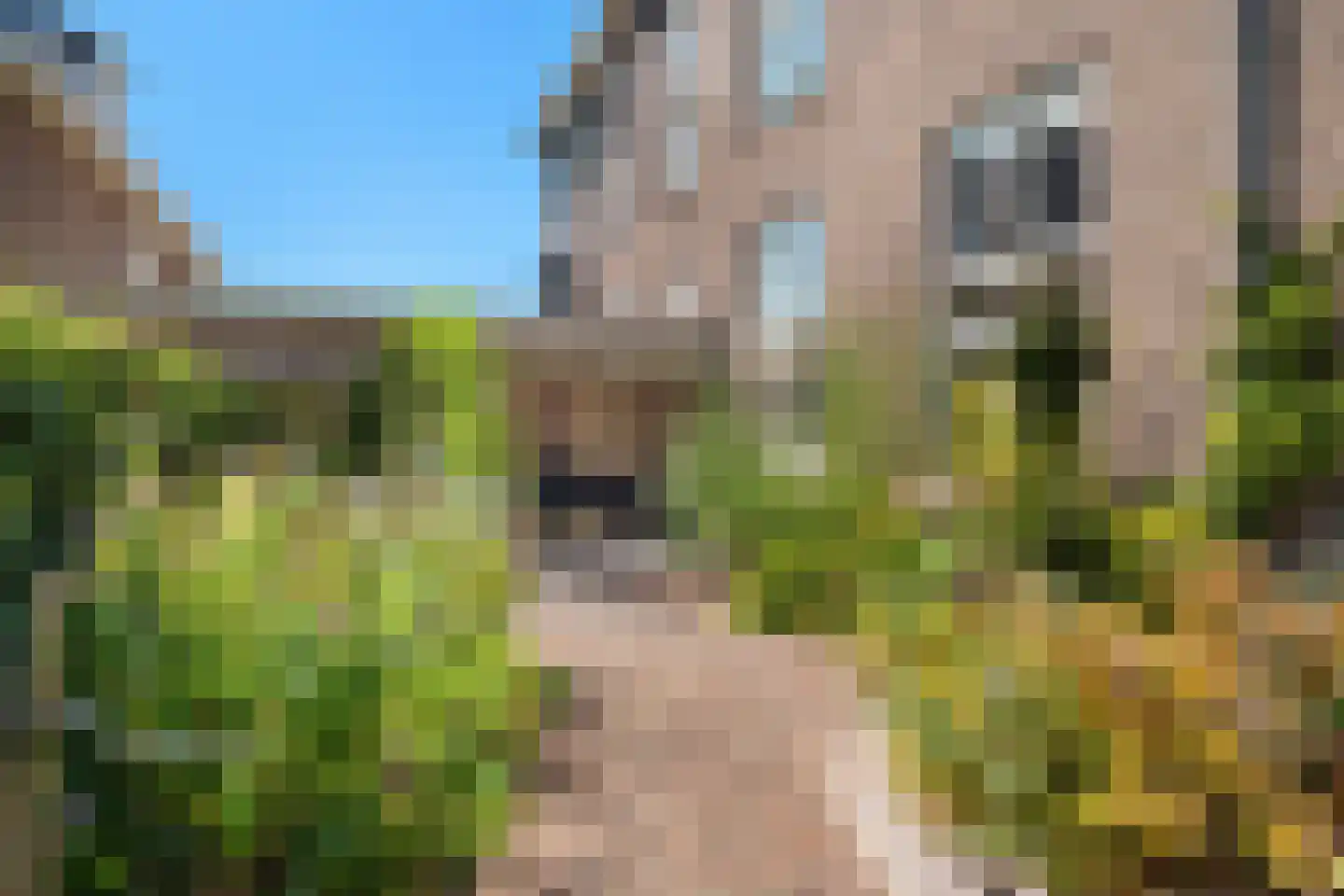H.B.S.Laan 36 Oud-Beijerland thumbnail 38