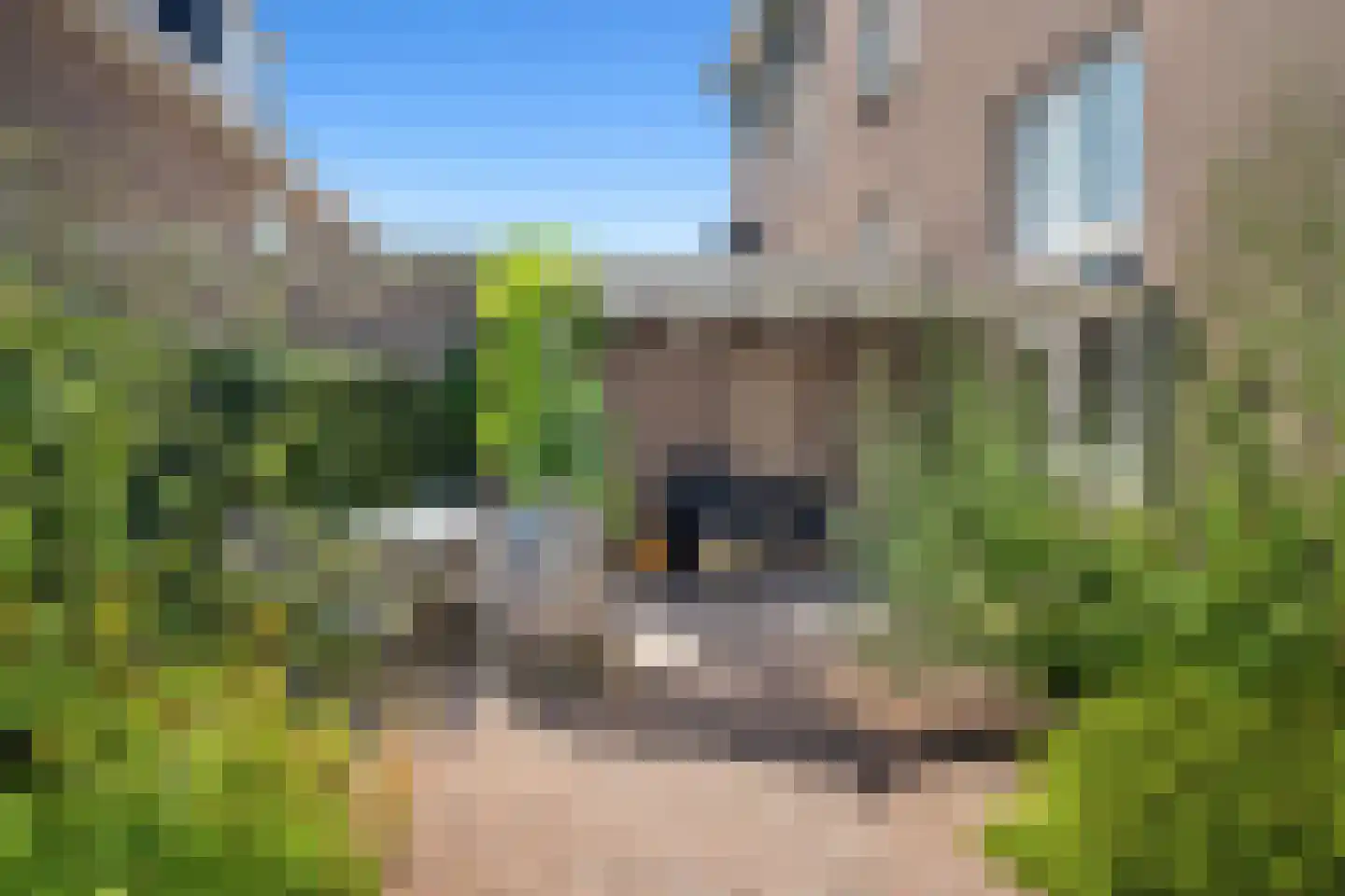 H.B.S.Laan 36 Oud-Beijerland thumbnail 39