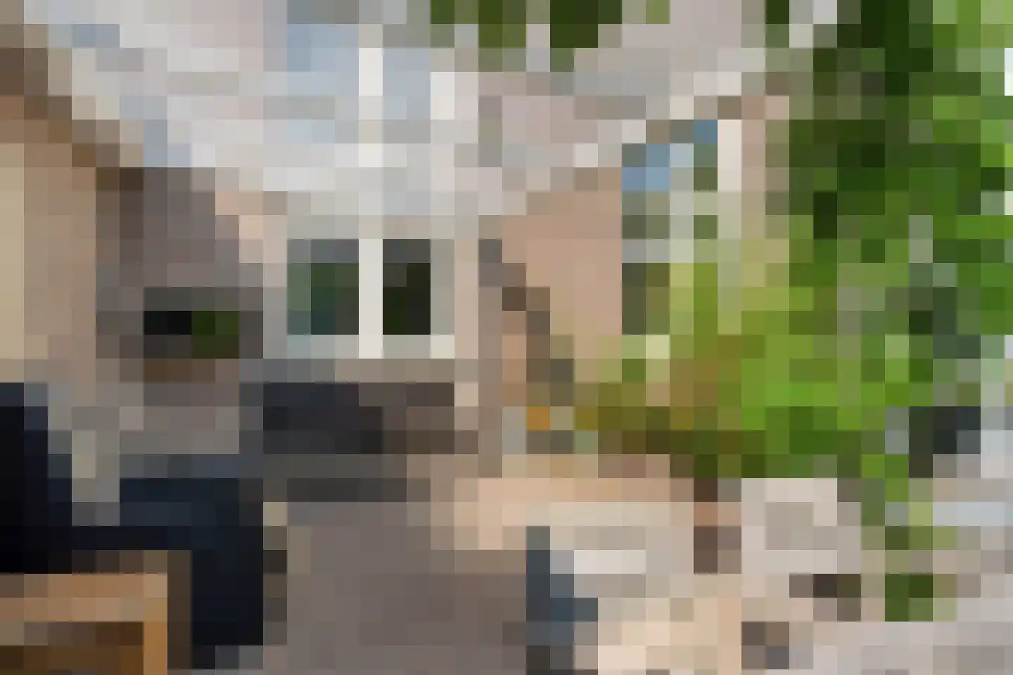 H.B.S.Laan 36 Oud-Beijerland thumbnail 40