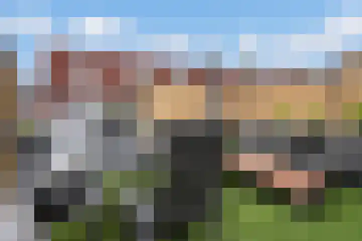 H. Berkvensstraat 2 Tilburg thumbnail 19