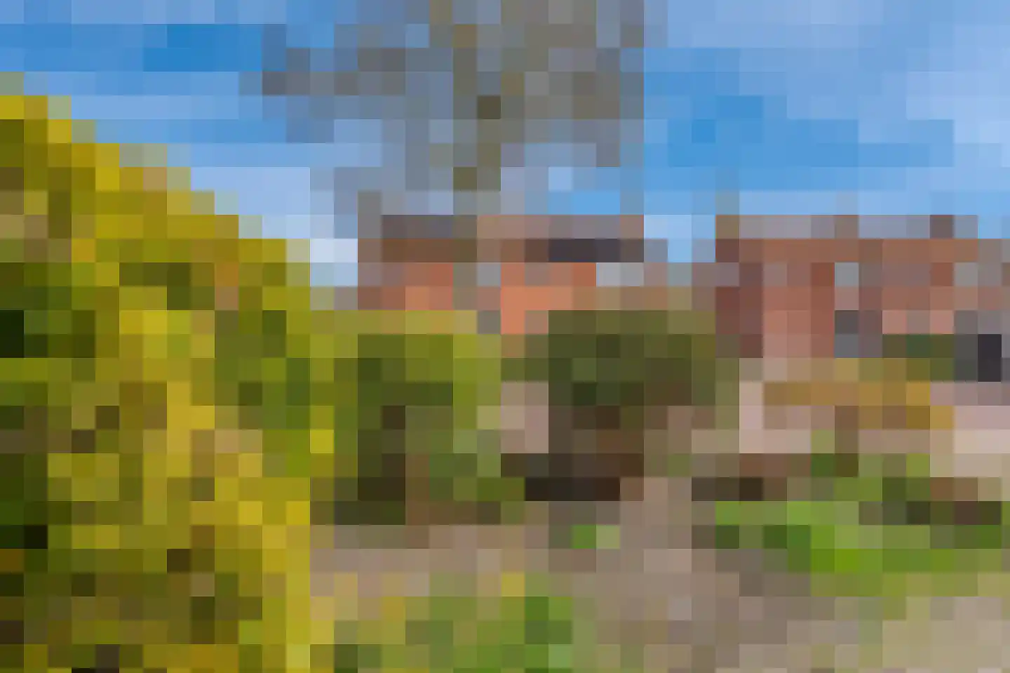 H. Berrelkampstraat 25 Woldendorp thumbnail 9