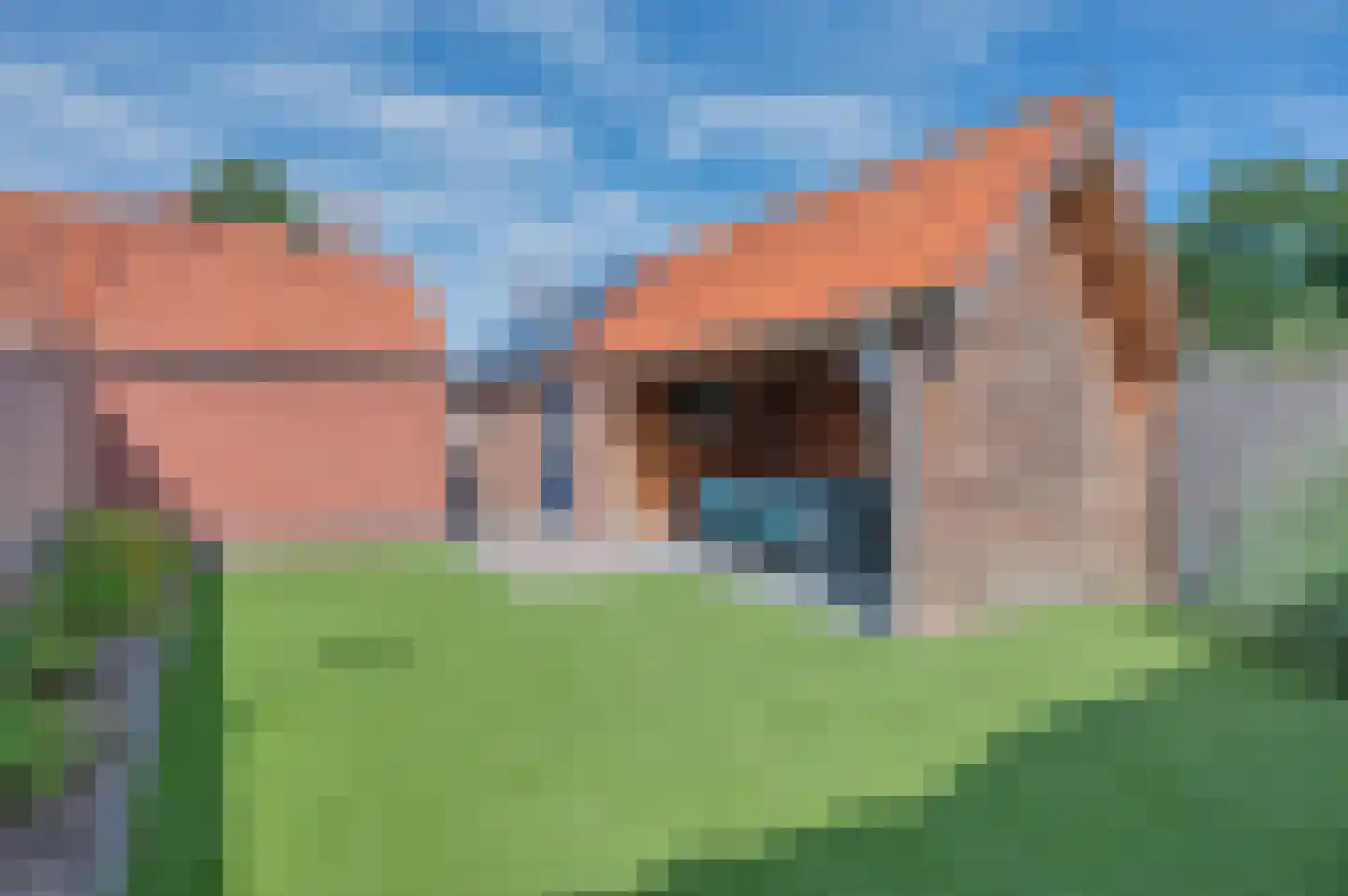 H. Berrelkampstraat 4 Woldendorp thumbnail 39
