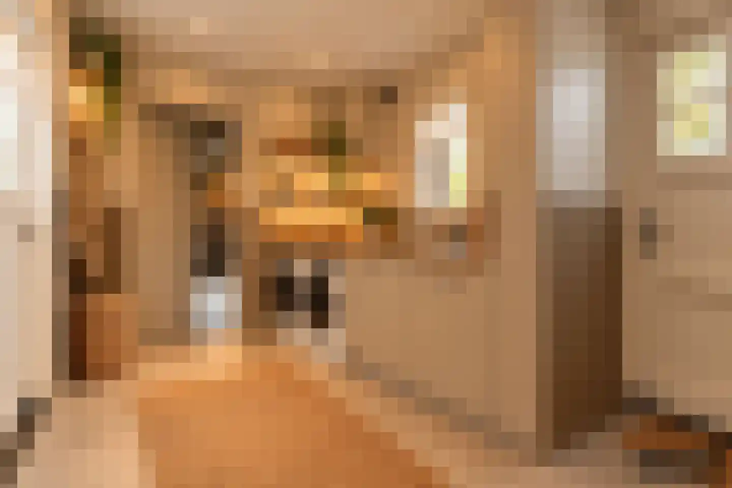 H.C. de Jonghweg 32 Rossum thumbnail 23