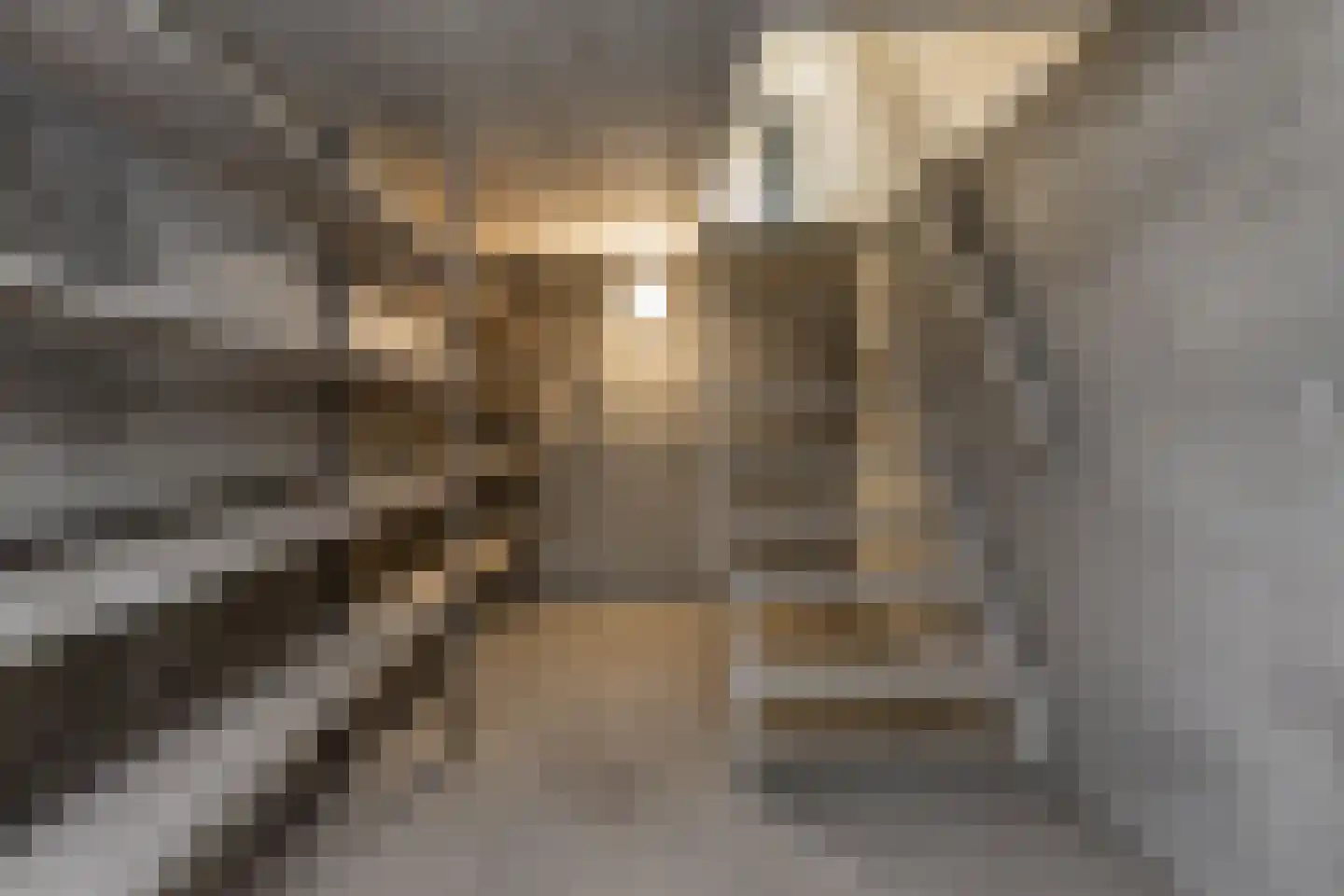 H.C. de Jonghweg 32 Rossum thumbnail 39