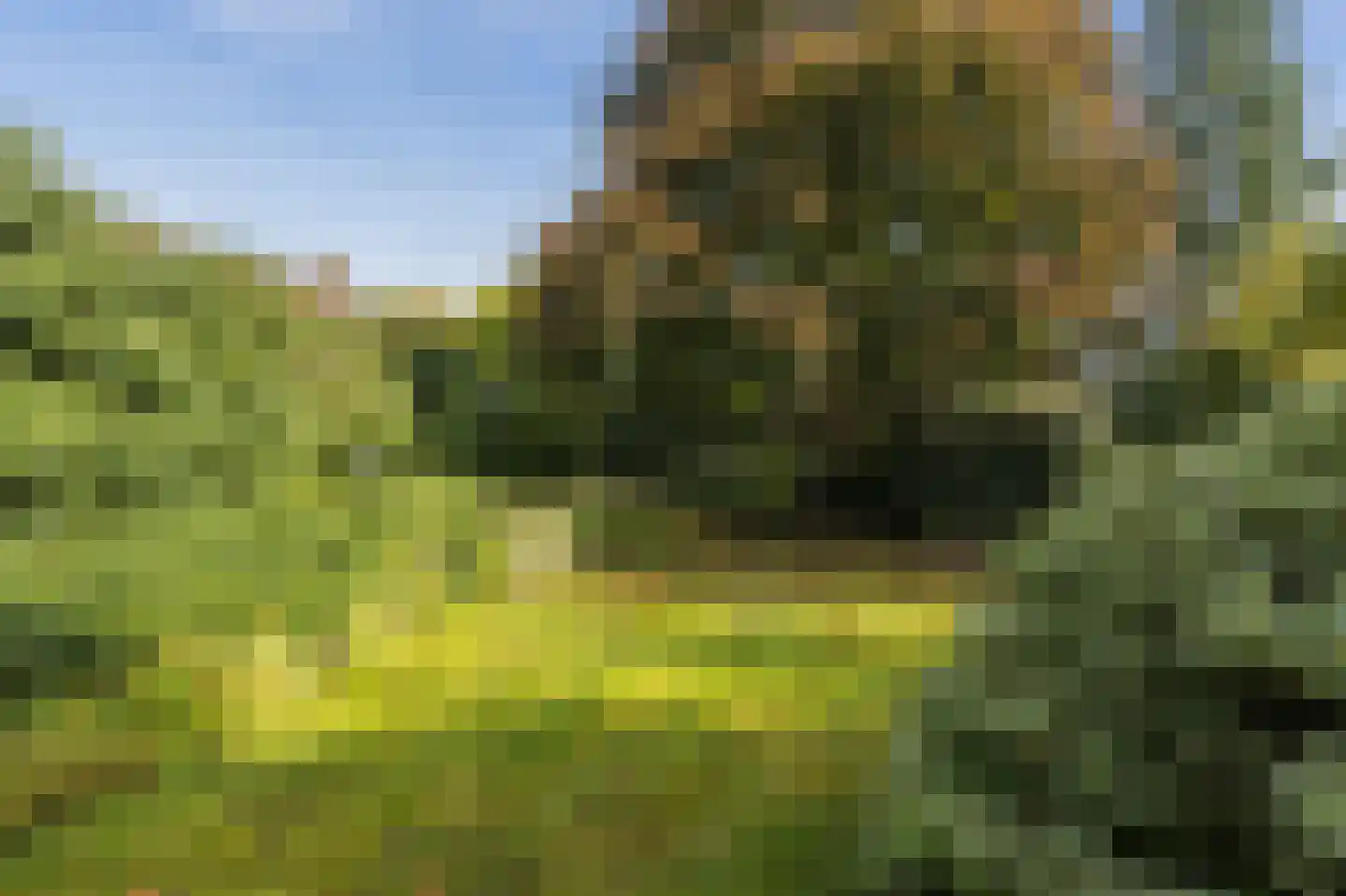 H.C. de Jonghweg 32 Rossum thumbnail 47