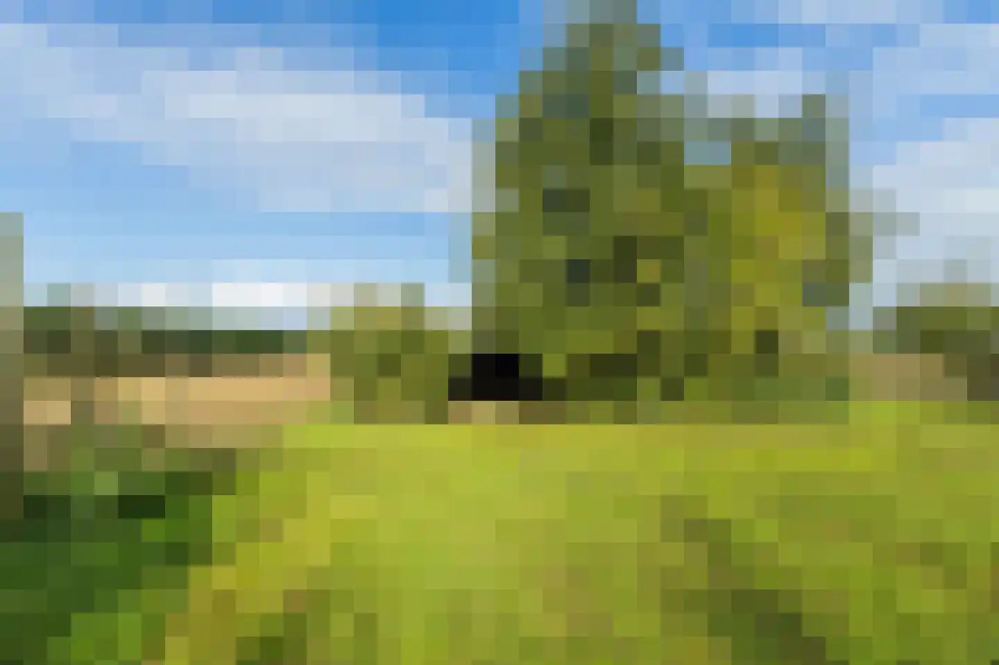 H.C. de Jonghweg 32 Rossum thumbnail 48