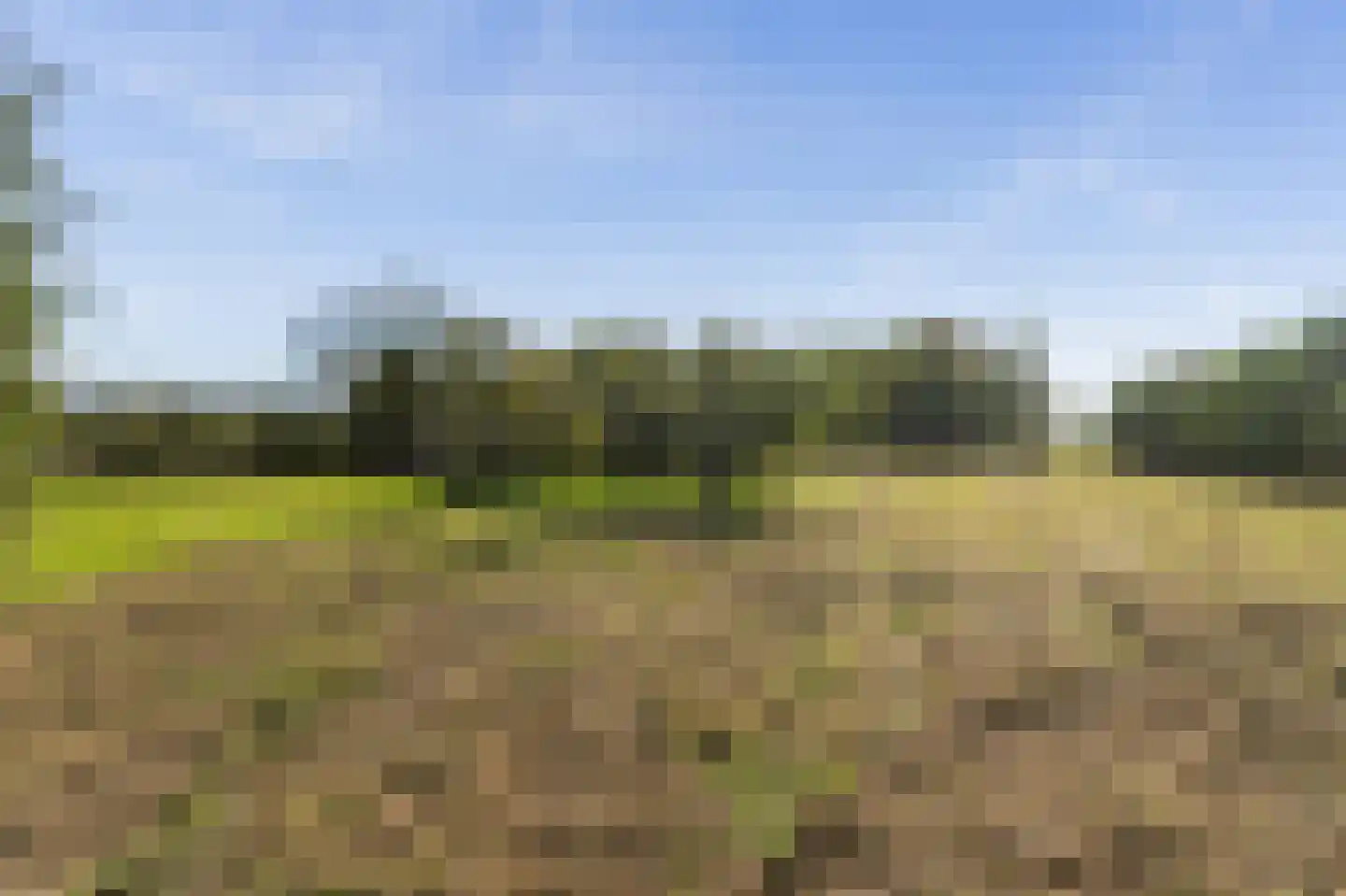 H.C. de Jonghweg 32 Rossum thumbnail 53