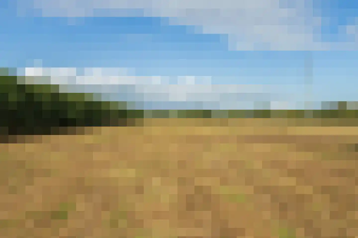 H.C. de Jonghweg 32 Rossum thumbnail 54
