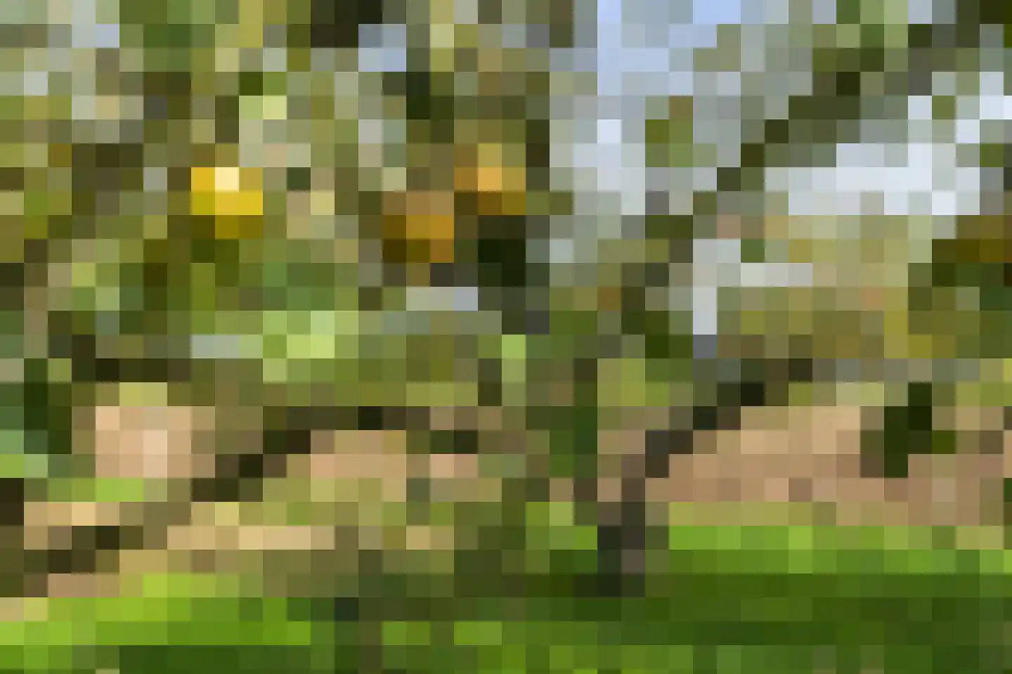 H.C. de Jonghweg 32 Rossum thumbnail 55