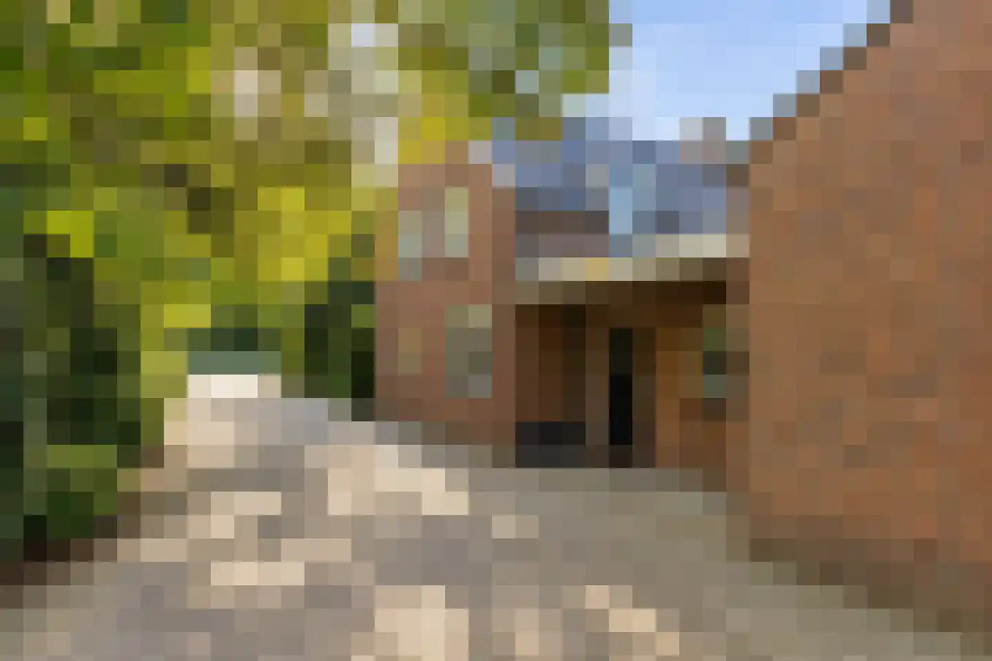 H.C. de Jonghweg 32 Rossum thumbnail 57