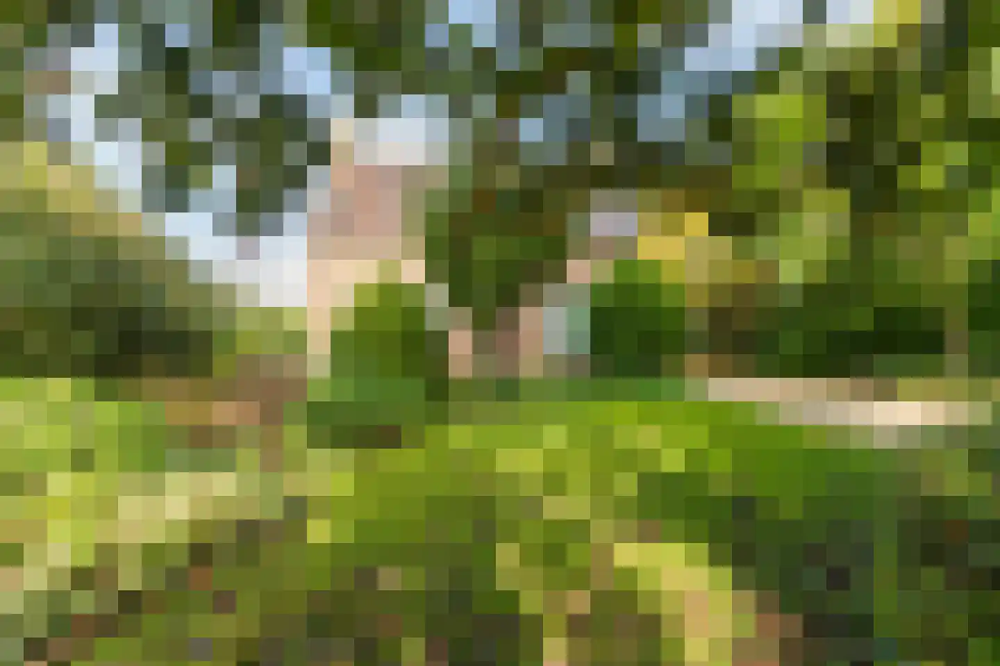 H.C. de Jonghweg 32 Rossum thumbnail 59