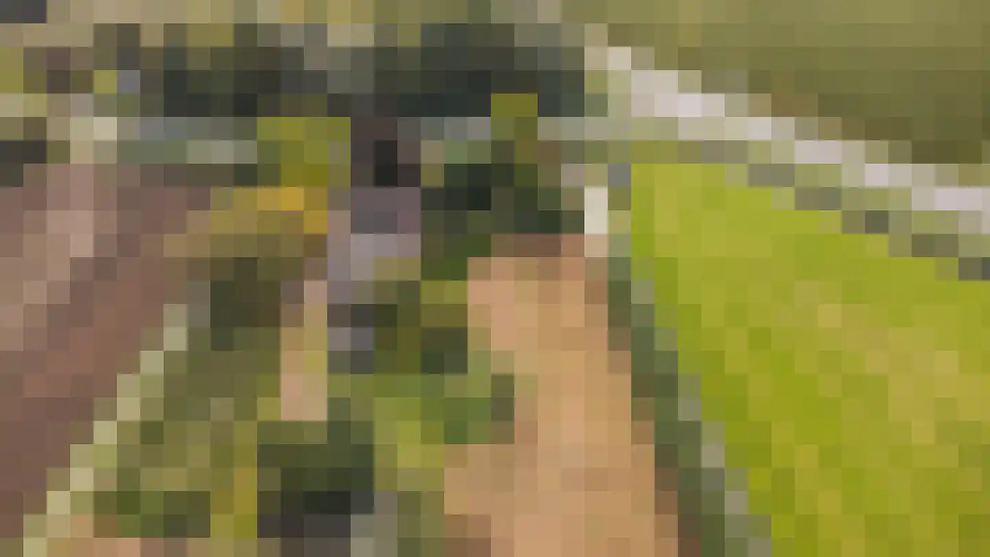 H.C. de Jonghweg 32 Rossum thumbnail 61