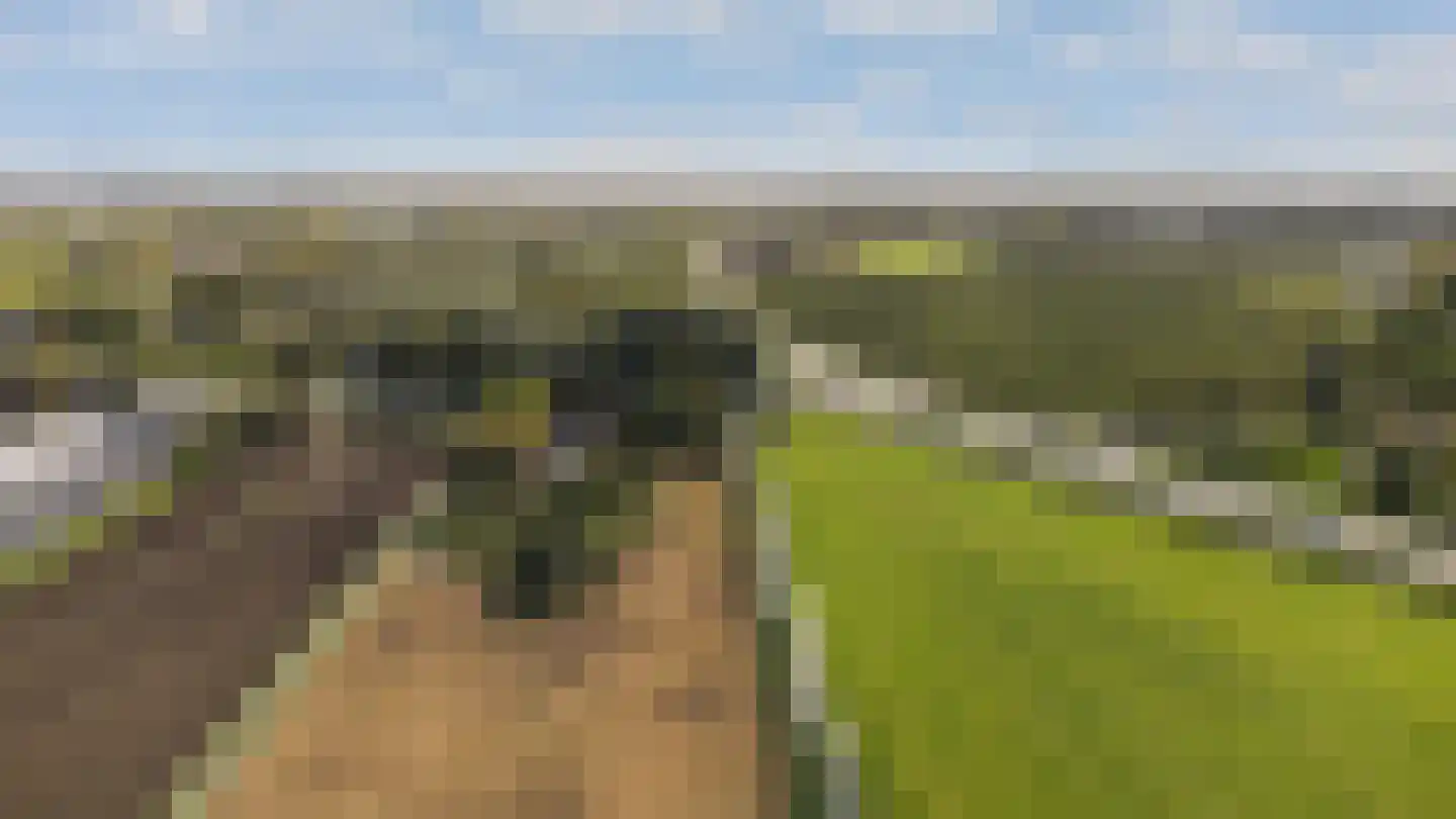 H.C. de Jonghweg 32 Rossum thumbnail 62