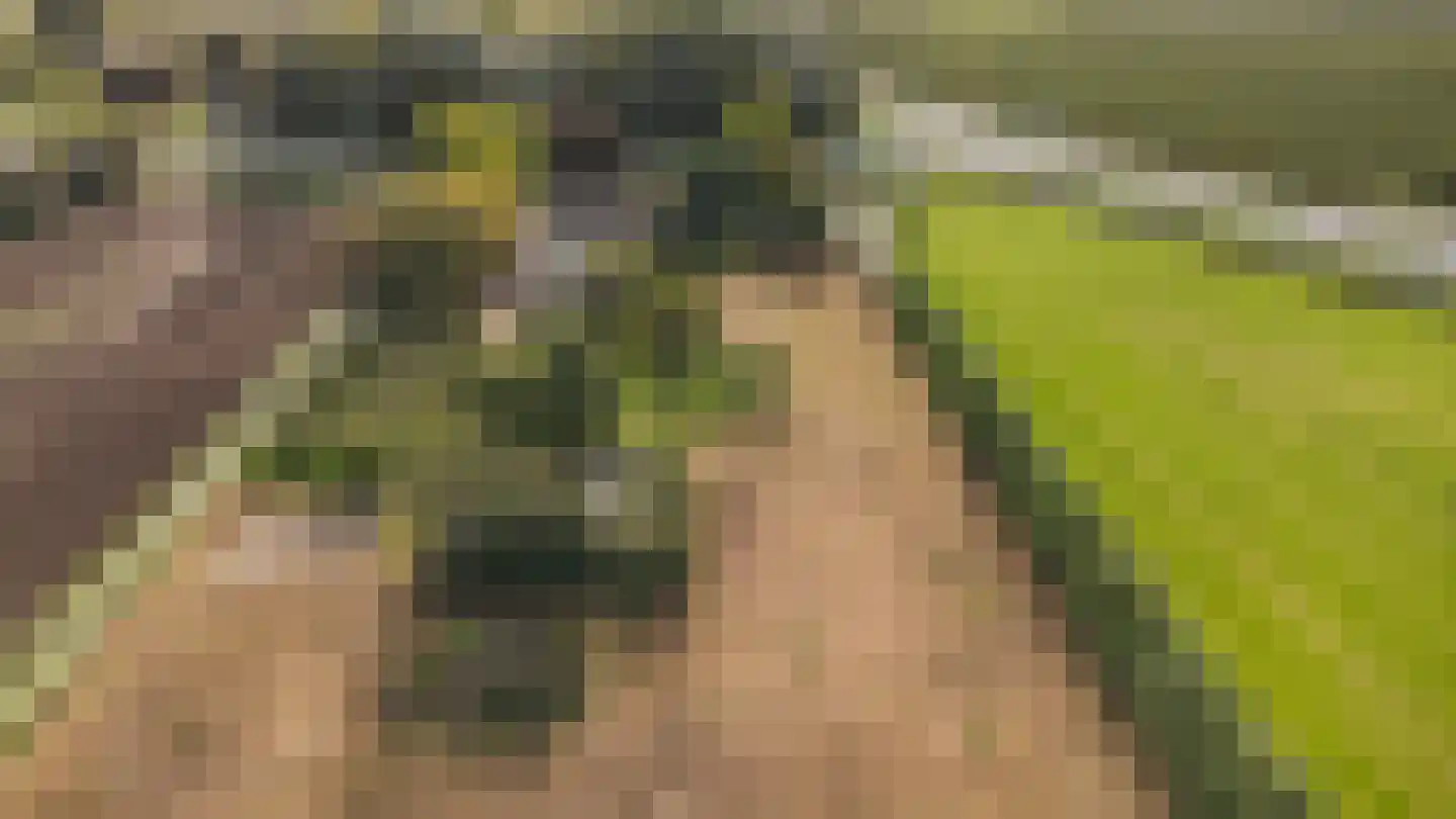 H.C. de Jonghweg 32 Rossum thumbnail 63