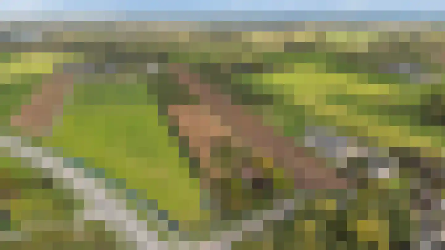 H.C. de Jonghweg 32 Rossum thumbnail 64