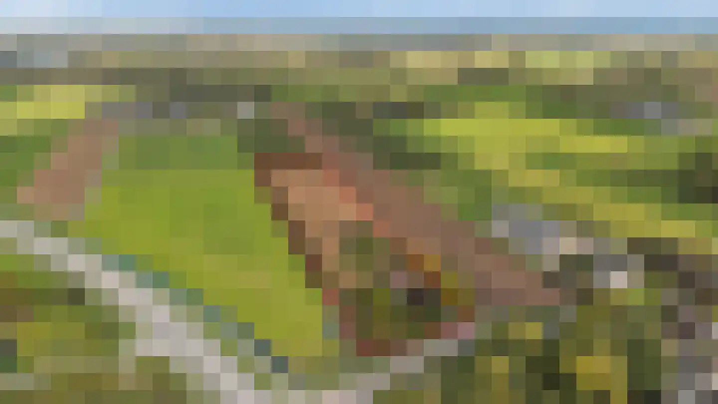 H.C. de Jonghweg 32 Rossum thumbnail 65