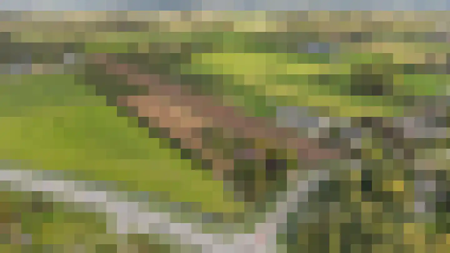 H.C. de Jonghweg 32 Rossum thumbnail 66