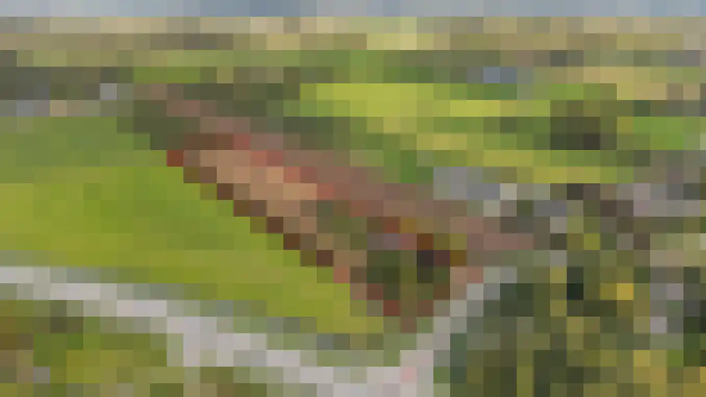 H.C. de Jonghweg 32 Rossum thumbnail 67