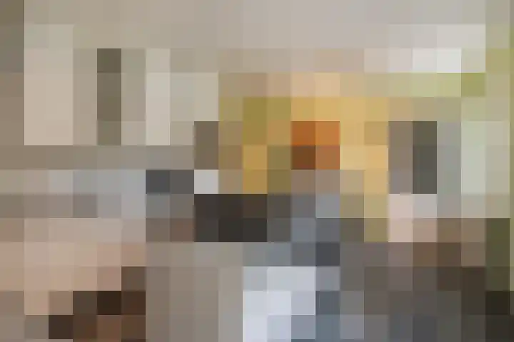 H.C. de Jonghweg 33 Rossum thumbnail 15