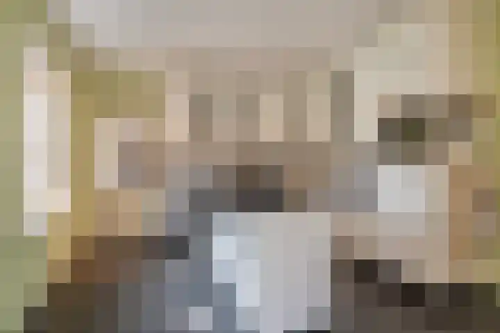H.C. de Jonghweg 33 Rossum thumbnail 16