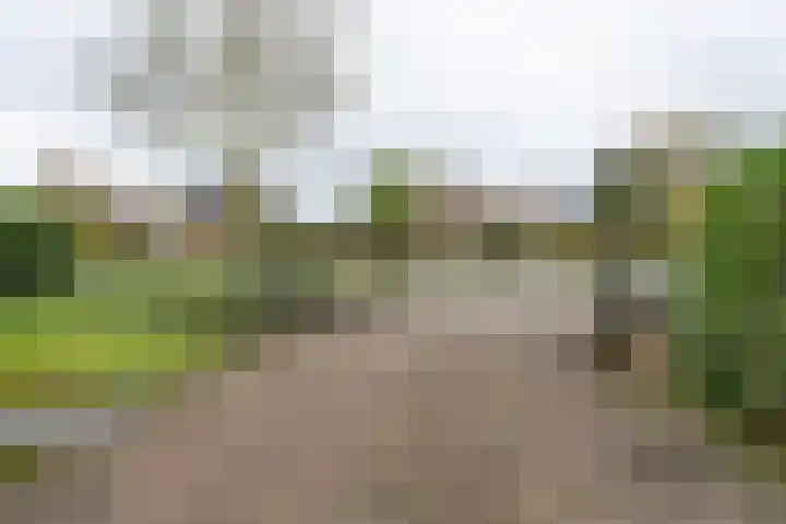 H.C. de Jonghweg 33 Rossum thumbnail 27
