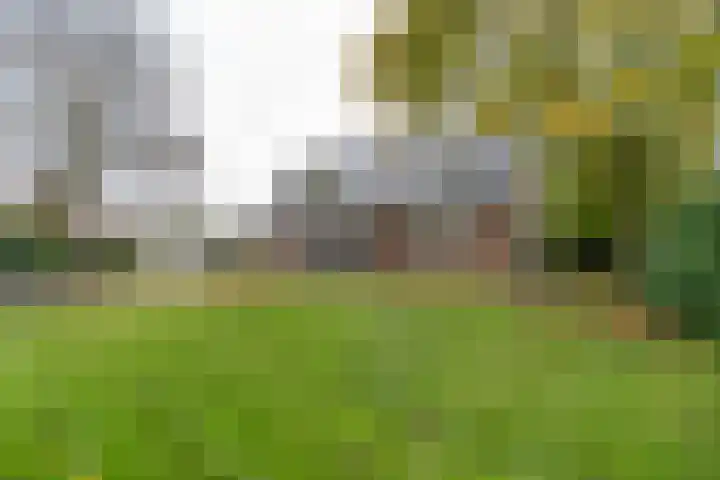 H.C. de Jonghweg 33 Rossum thumbnail 29