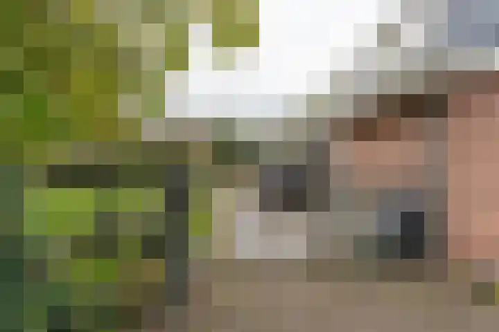 H.C. de Jonghweg 33 Rossum thumbnail 31