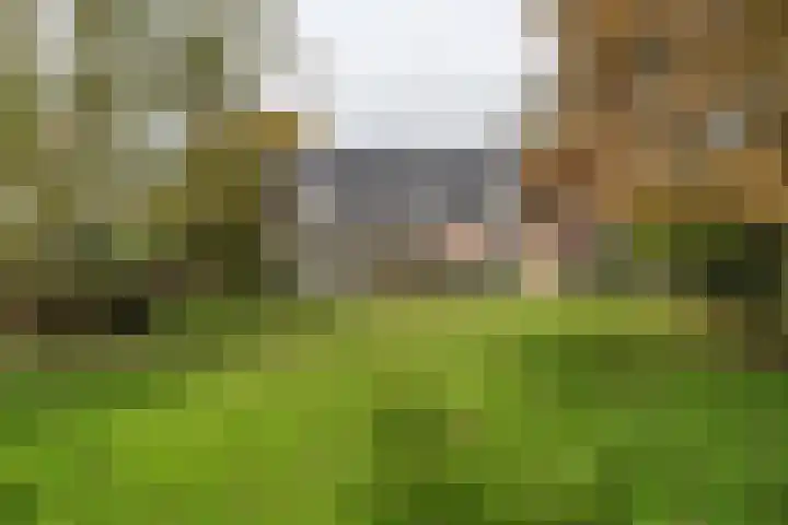 H.C. de Jonghweg 33 Rossum thumbnail 34