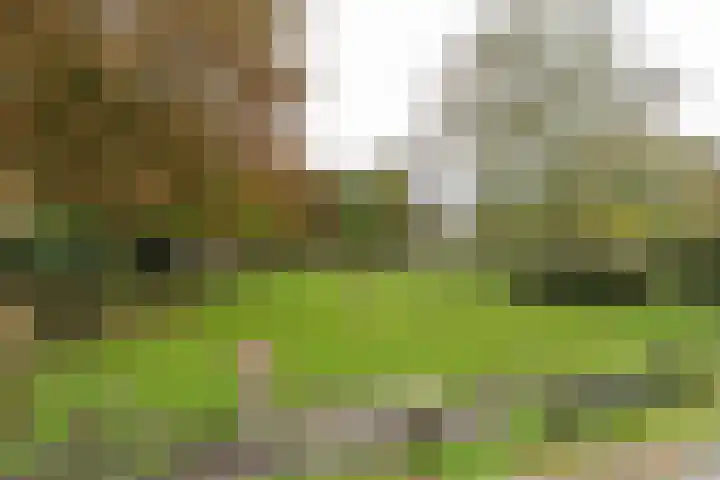 H.C. de Jonghweg 33 Rossum thumbnail 35