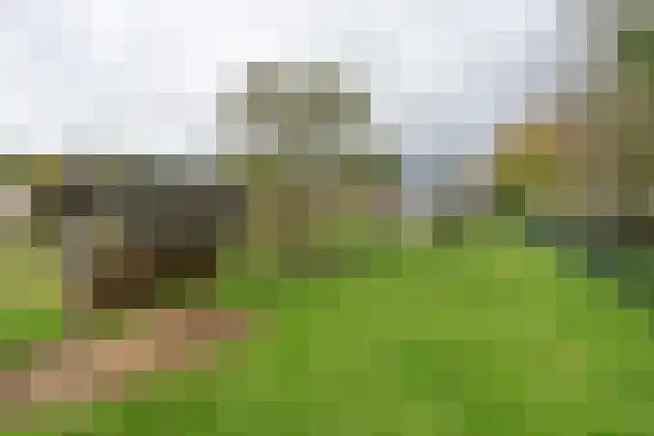 H.C. de Jonghweg 33 Rossum thumbnail 36