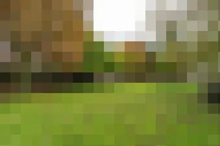 H.C. de Jonghweg 33 Rossum thumbnail 37