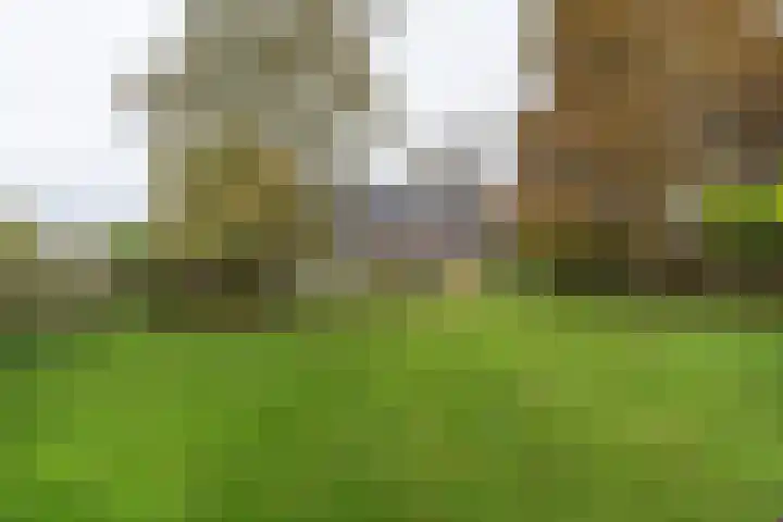 H.C. de Jonghweg 33 Rossum thumbnail 38