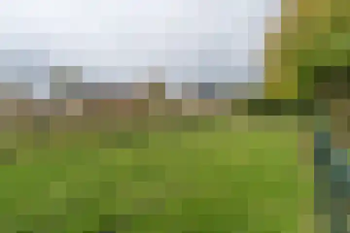 H.C. de Jonghweg 33 Rossum thumbnail 39